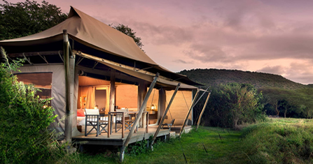 5 Days (4 Nights) Cheetah Adventure