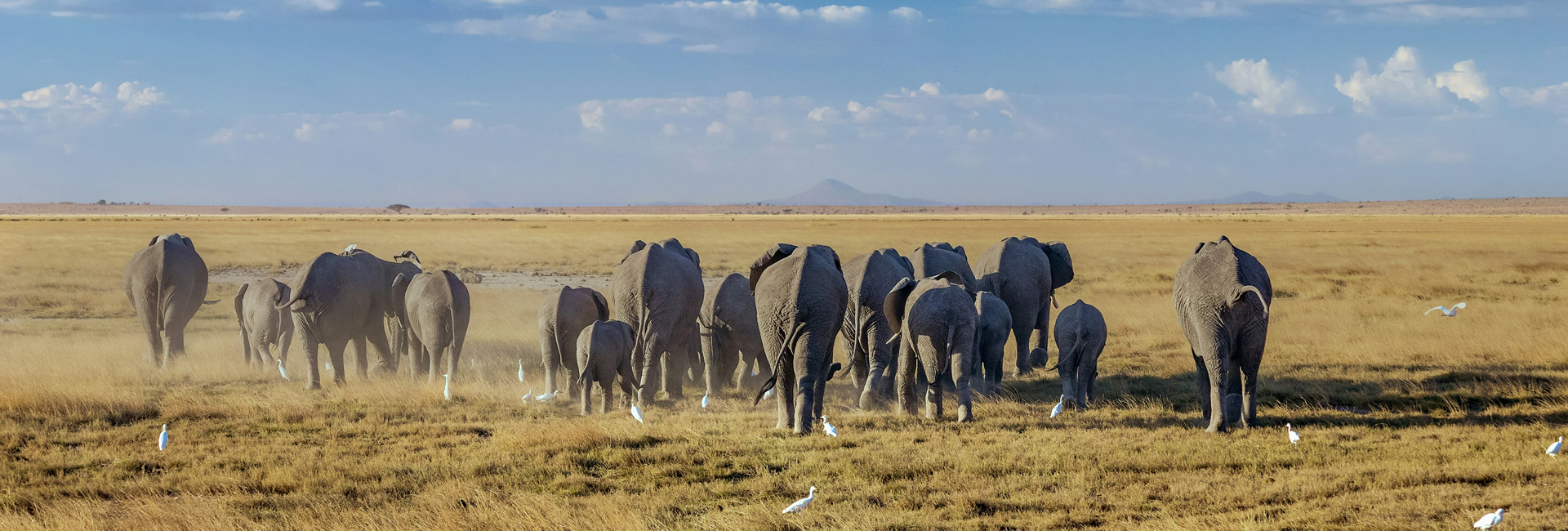4 Days Tsavo East, Tsavo West and Amboseli Safari