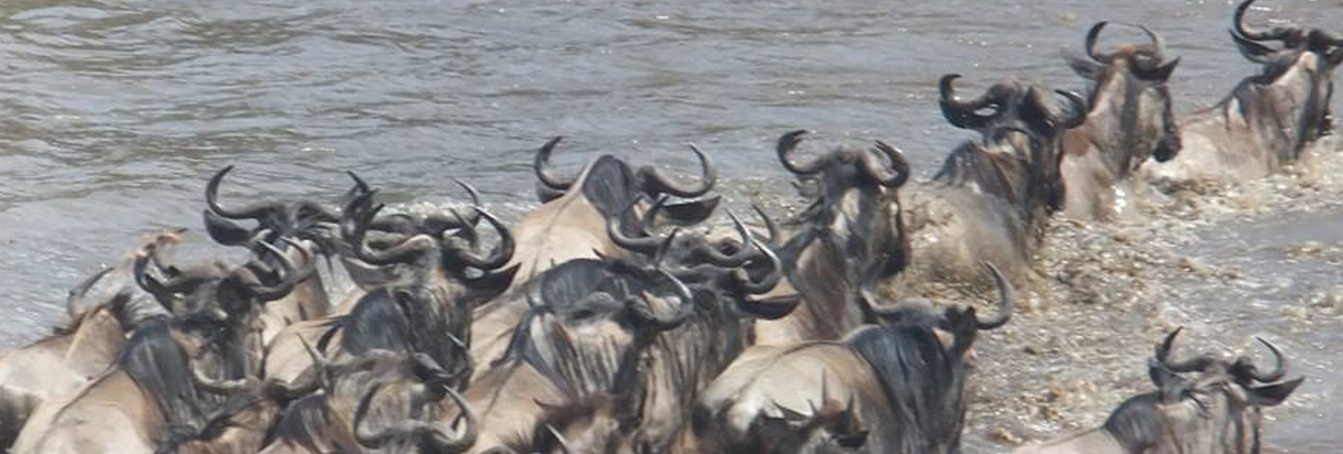 Masai Mara Game Reserve – Nairobi