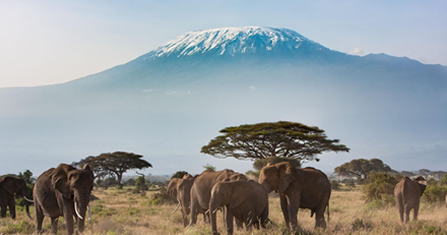 4 Days Tsavo East, Tsavo West and Amboseli Safari
