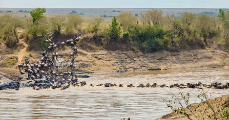 Nairobi safaris