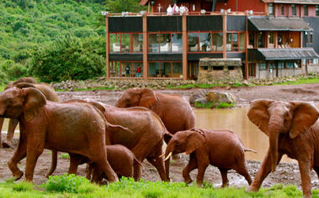 5 Days, Aberdares, Mara, Nakuru