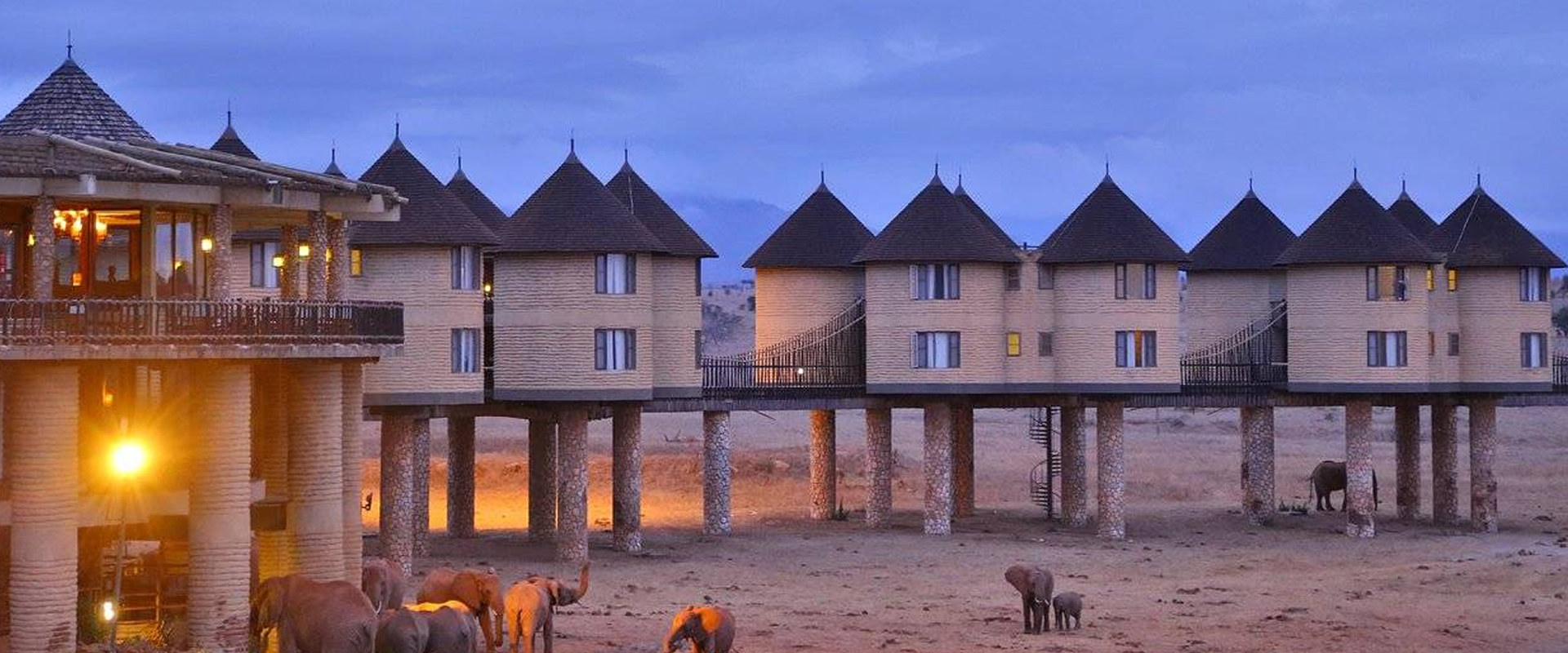 2 Days Taita hills Saltlick Safari