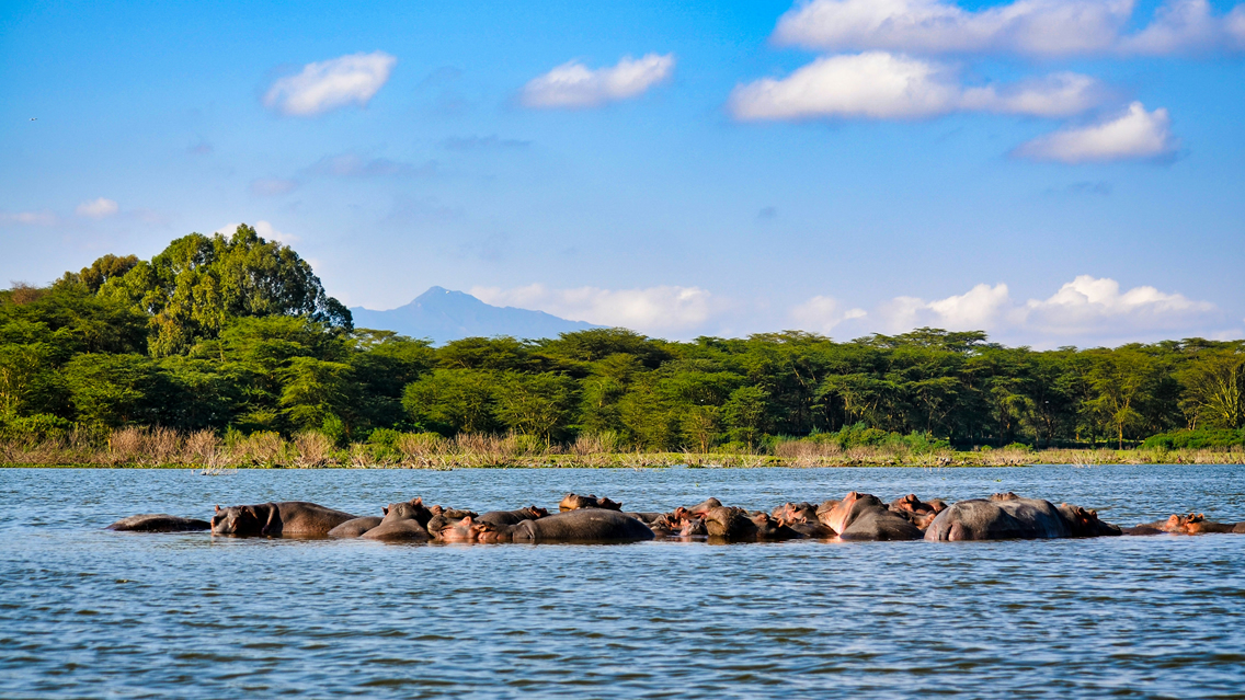 9 Days Amboseli, Lake Nakuru, Lake Bogoria, Maasai Mara and Lake Naivasha Safari