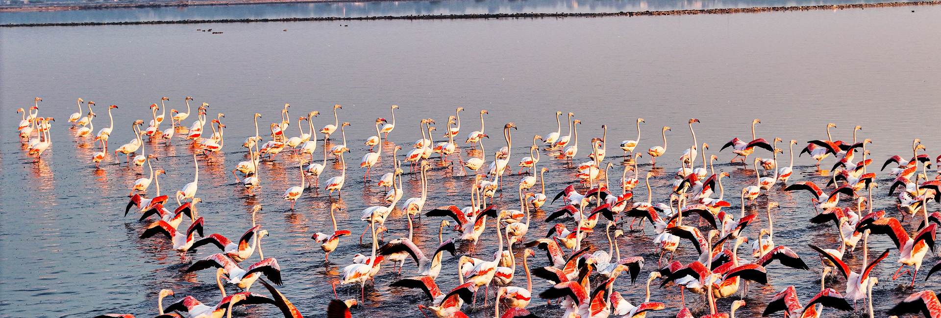Lake Naivasha – Nairobi Airport