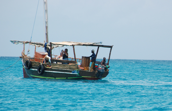 Wasini Island & Kisite Marine Park