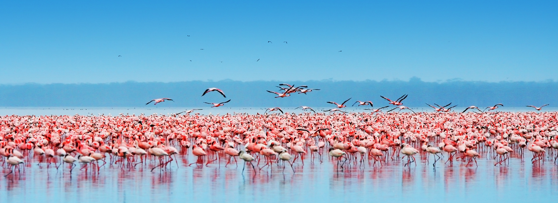 Lake Nakuru National Park-Lake Naivasha