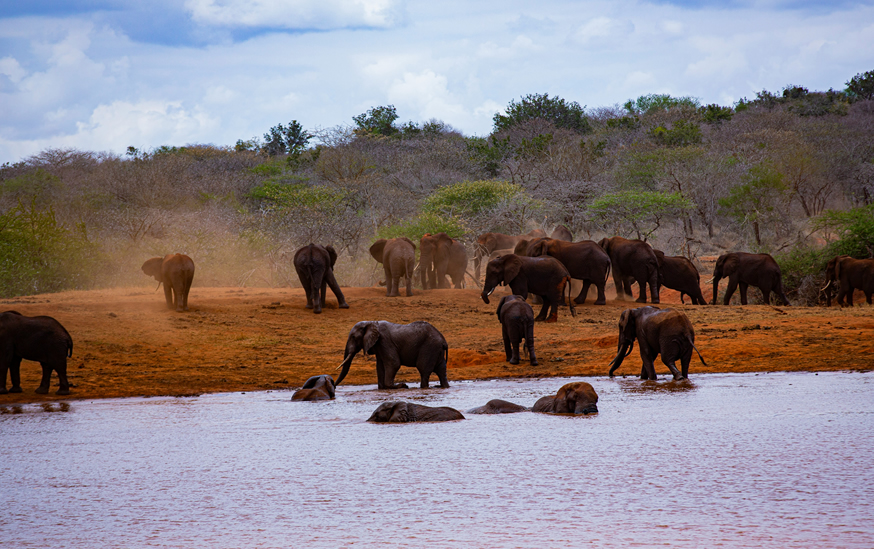 Mombasa - Tsavo East National Park